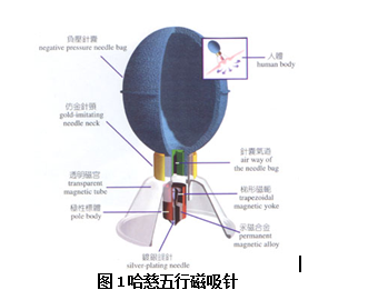 世界针灸学会联合会