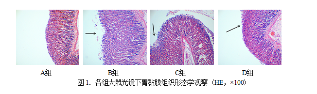 QQ截图20180731140907.png