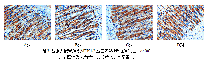 QQ截图20180731140946.png